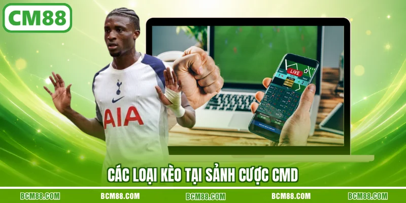 Các loại kèo tại sảnh cược CMD