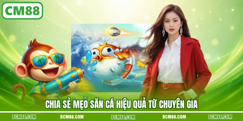 Chia sẻ mẹo săn cá hiệu quả từ chuyên gia