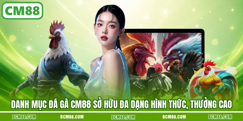 Danh mục đá gà CM88 sở hữu đa dạng hình thức, thưởng cao