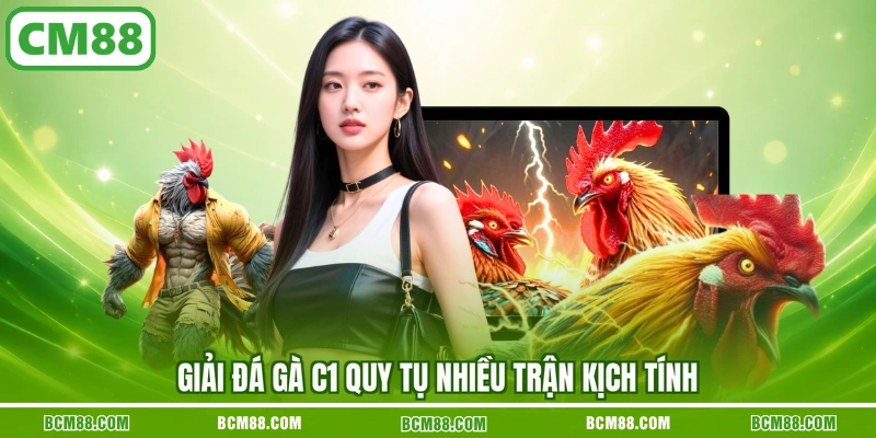 Giải đá gà C1 quy tụ nhiều trận kịch tính