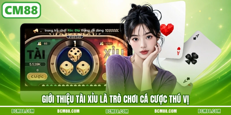 Giới thiệu Tài Xỉu là trò chơi cá cược thú vị