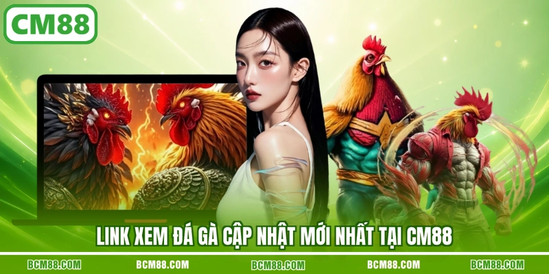 Link xem đá gà cập nhật mới nhất tại CM88