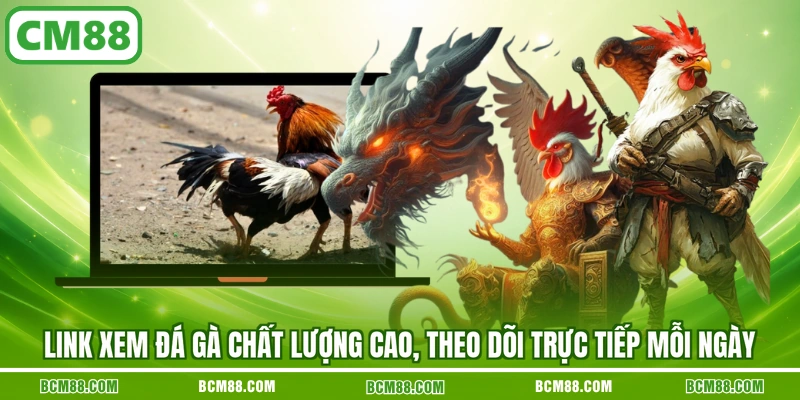 Link xem đá gà