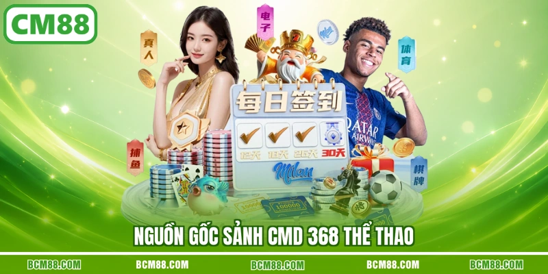Nguồn gốc sảnh CMD 368 thể thao