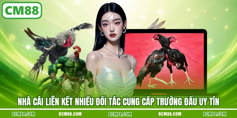 Nhà cái liên kết nhiều đối tác cung cấp trường đấu uy tín