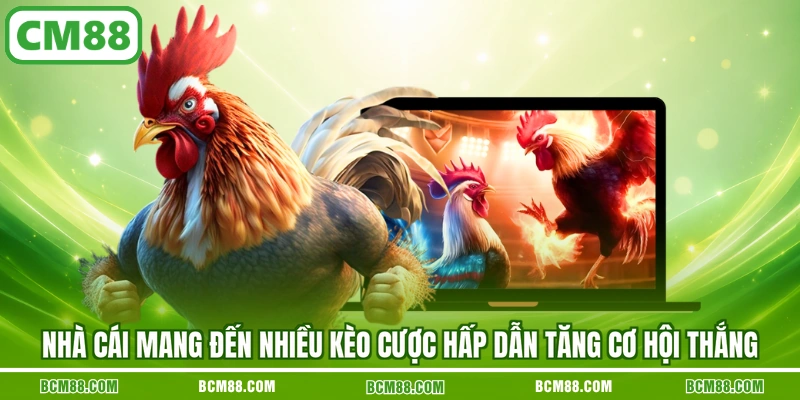 Nhà cái mang đến nhiều kèo cược hấp dẫn tăng cơ hội thắng