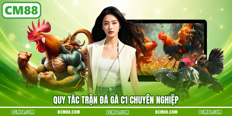 Quy tắc trận đá gà C1 chuyên nghiệp