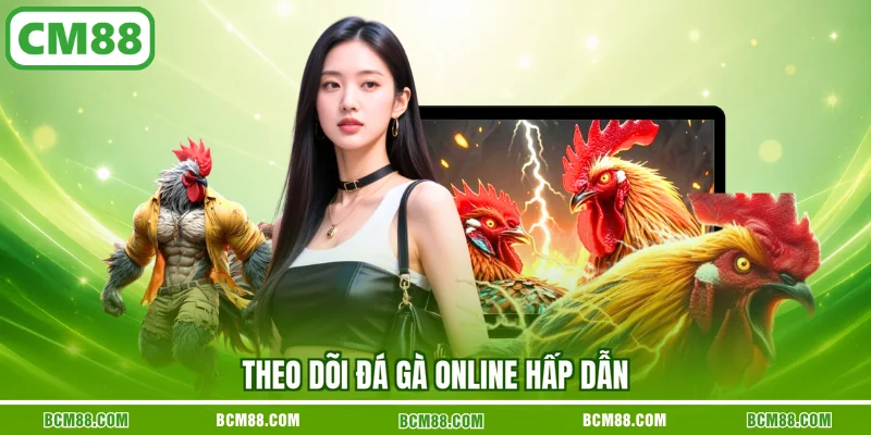 Theo dõi đá gà online hấp dẫn