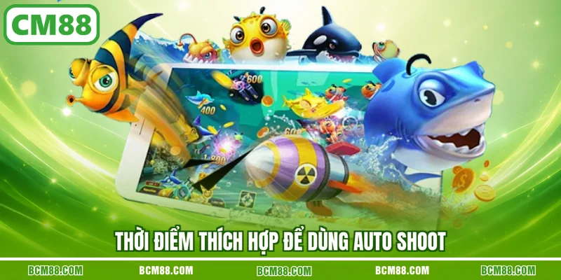 Thời điểm thích hợp để dùng auto shoot
