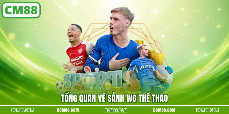 Tổng quan về sảnh WG thể thao