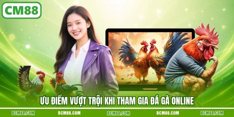 Ưu điểm vượt trội khi tham gia đá gà online