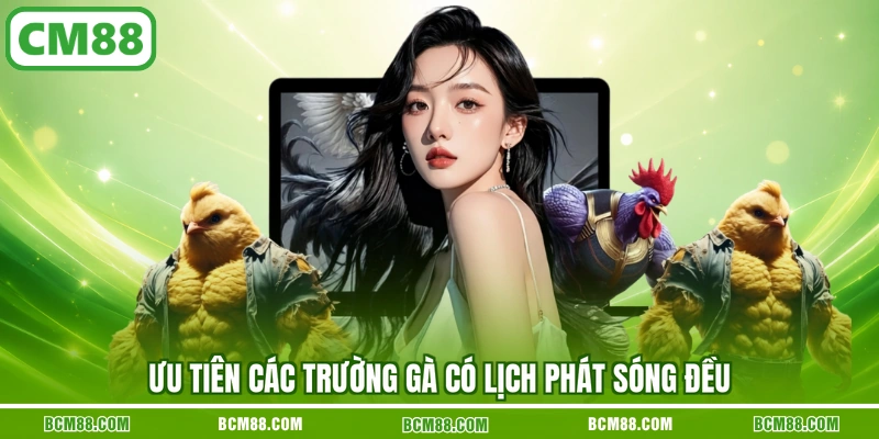 Ưu tiên các trường gà có lịch phát sóng đều